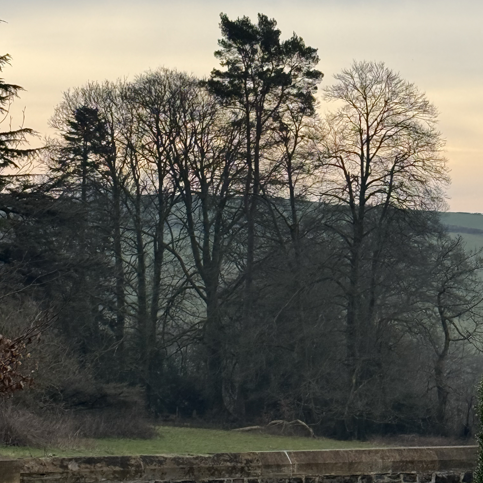 Some Thoughts on Direct Cremation, Grief and Emotional Health