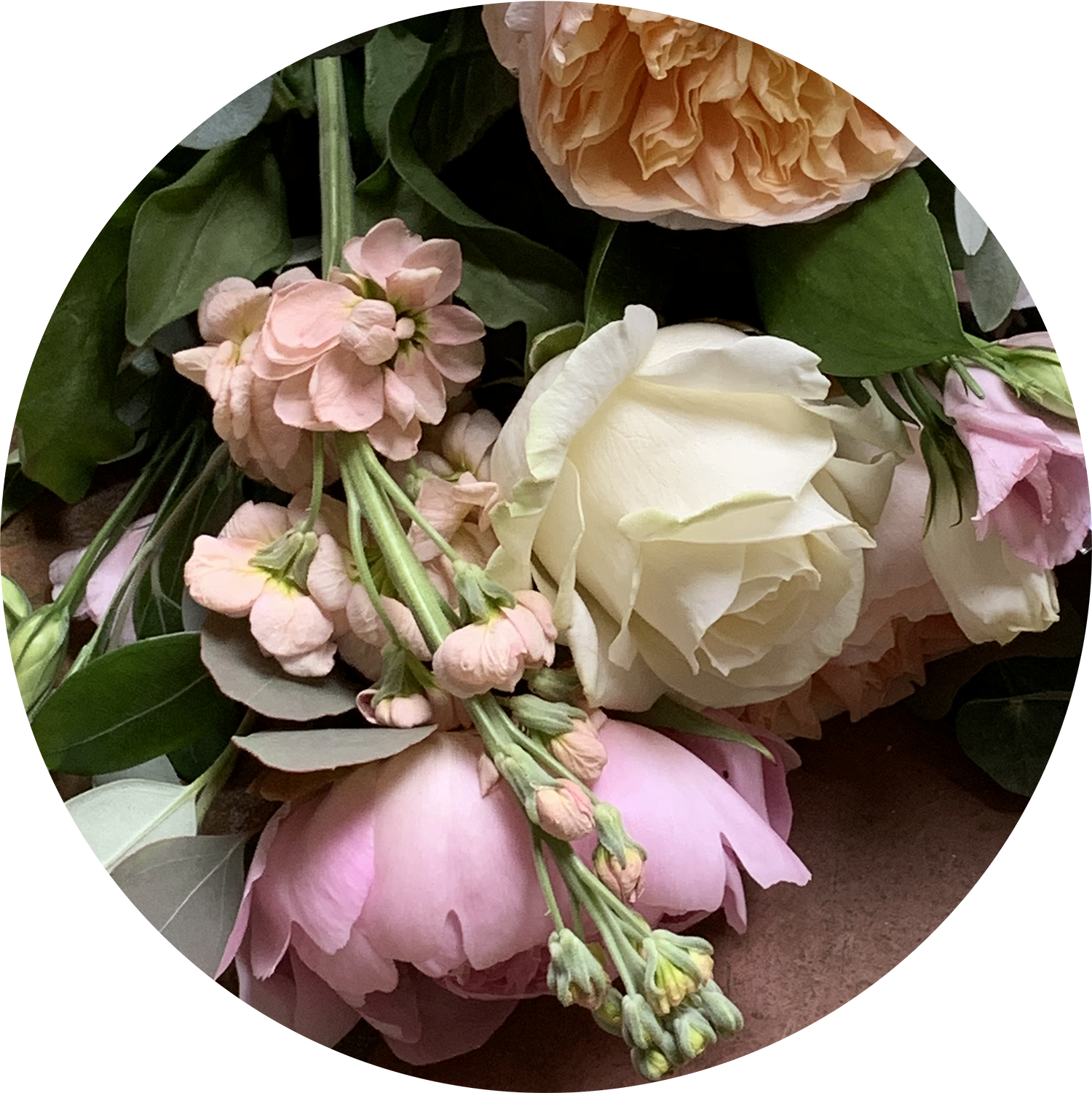 Moonstone Ceremonies