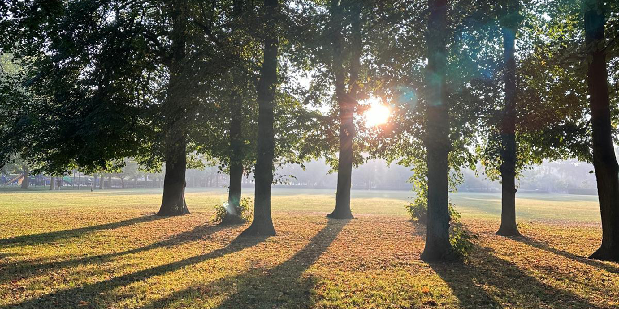 Moonstone Ceremonies